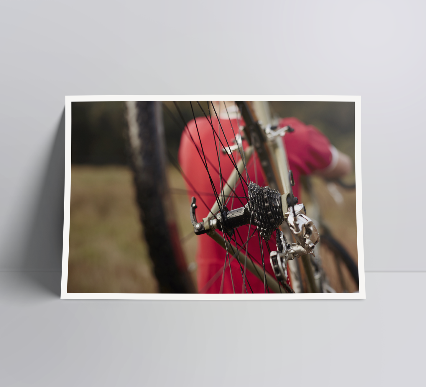 Campagnolo spoken - A cycling photo print.