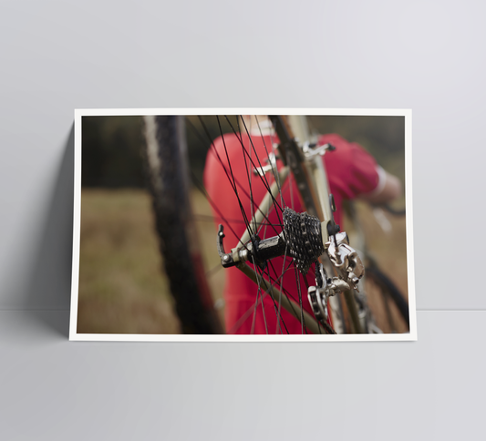 Campagnolo spoken - A cycling photo print.