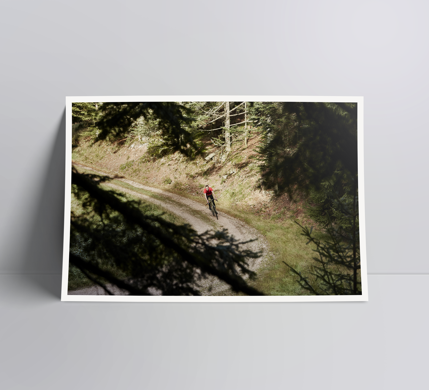 Fly through the forest - a cycling print.