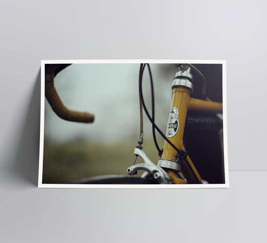 A classic Gazelle bespoke build - a cycling print.