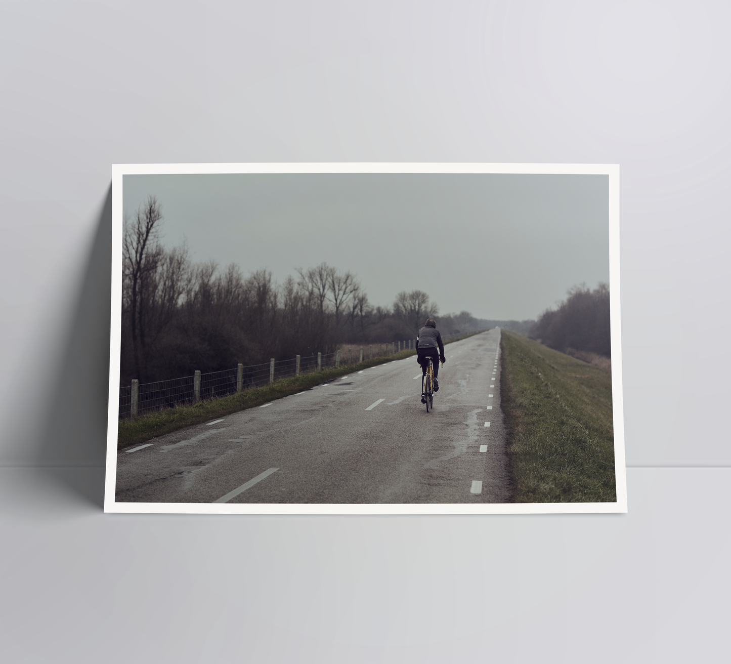 Blown away - a cycling print.