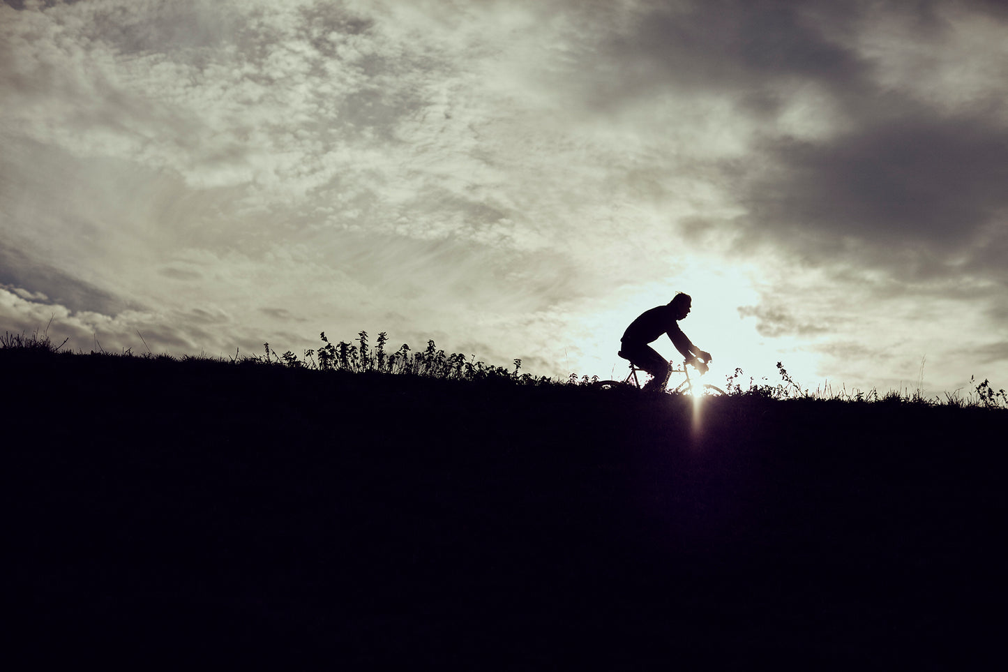 Silhouettes & sunsets - a cycling print.