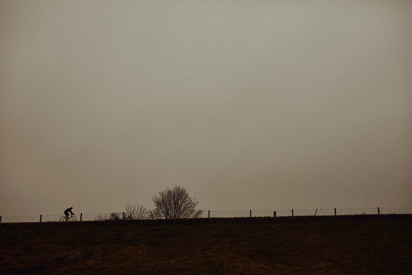 A man, a dike, a bike - a cycling print.