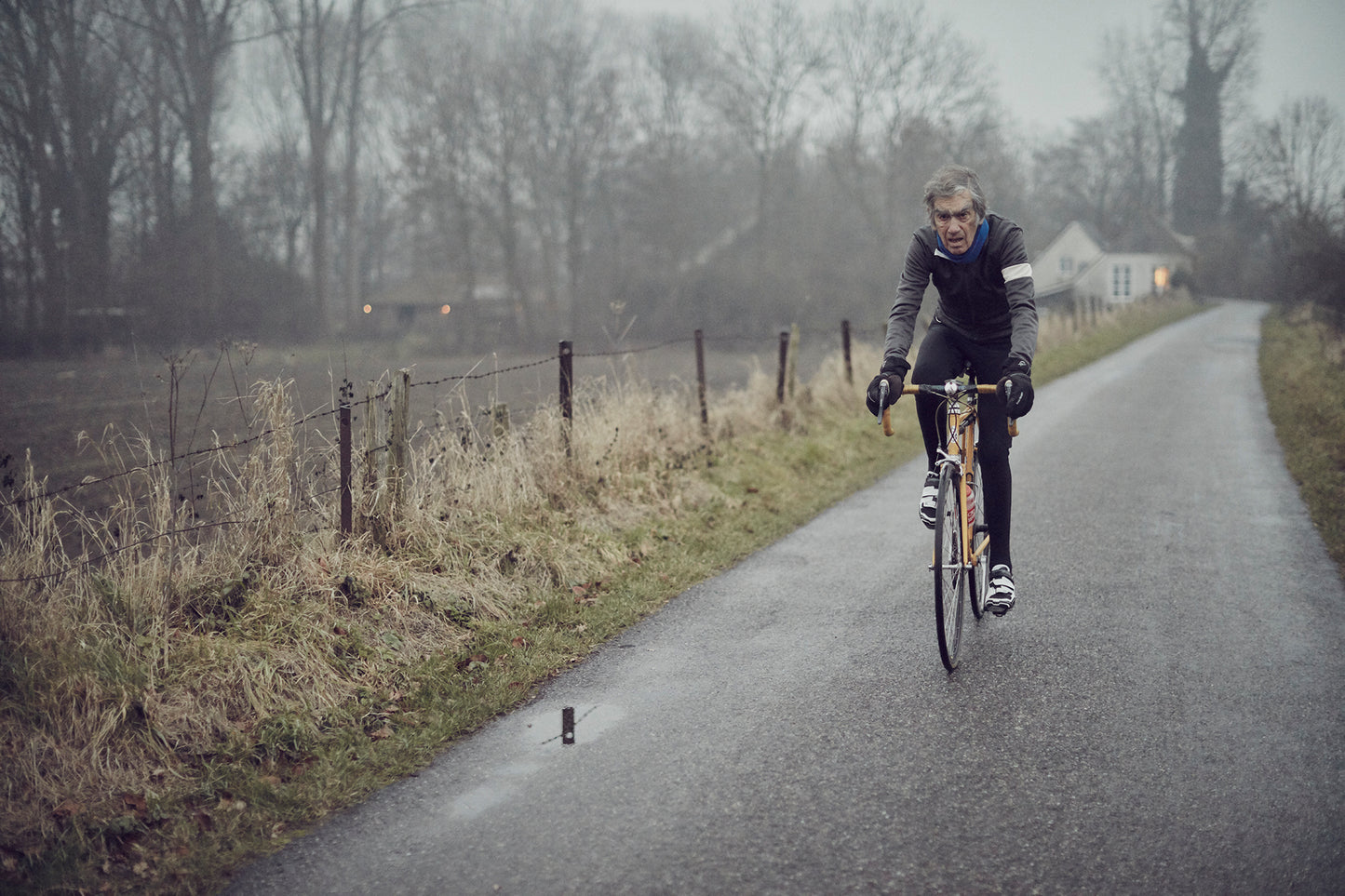 December Dikes & Bikes - A cycling print