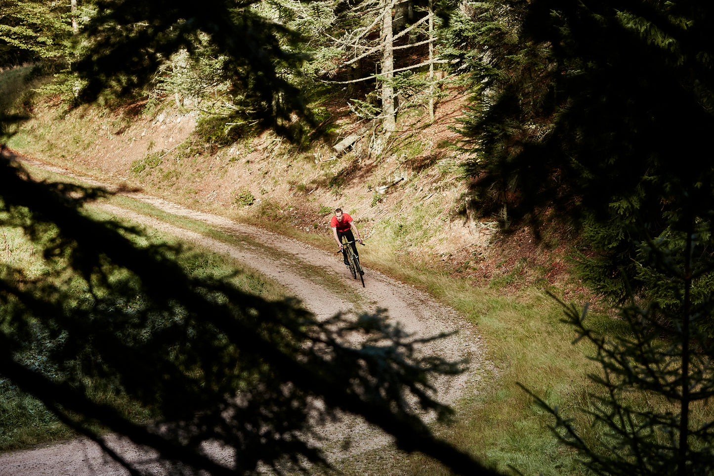 Fly through the forest - a cycling print.