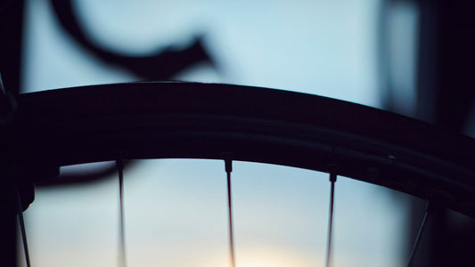 Nederlandse Wielerfotografie 'Spokes' - Albert, een 82-jarige wielrenner, op zijn op maat gebouwde stalen fiets langs de Waal- en Lekdijken, Nederland, fine art print door Cyclingprints.nl