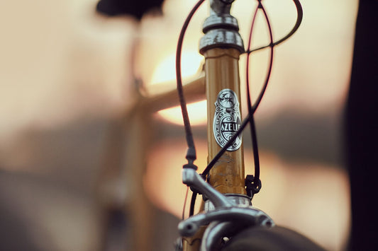 Nederlandse Wielerfotografie 'The Gazelle Custom' - Albert, een 82-jarige wielrenner, op zijn op maat gebouwde stalen fiets langs de Waal- en Lekdijken, Nederland, fine art print door Cyclingprints.nl
