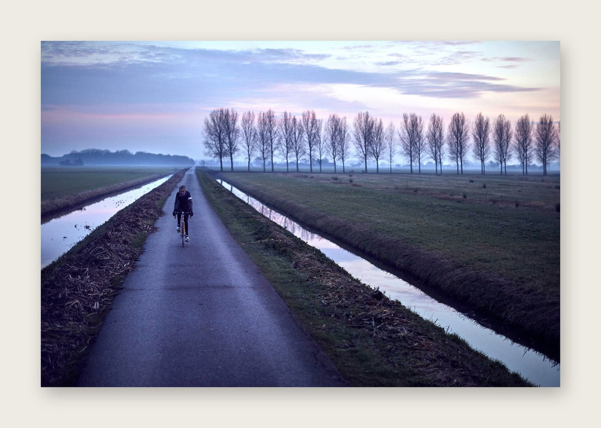 Purple Polders – A Man of Steel fine art cycling postcard by Ryan Edy